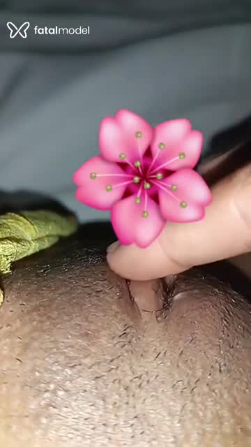 Mídia