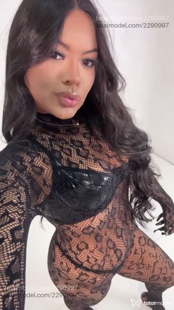 Mídia