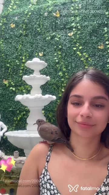 Mídia