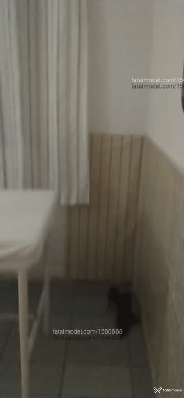 Mídia