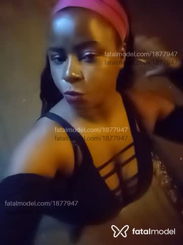 Mídia