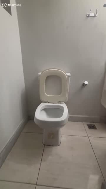 Mídia