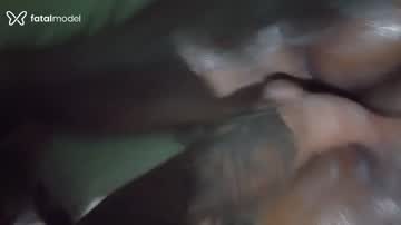 Mídia