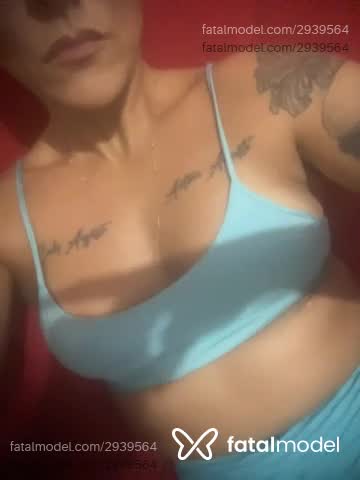 Mídia