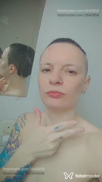 Mídia