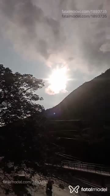 Mídia