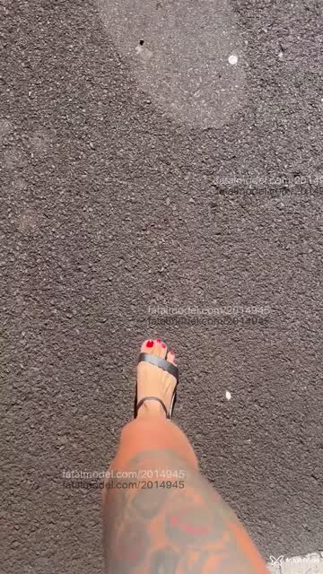 Mídia