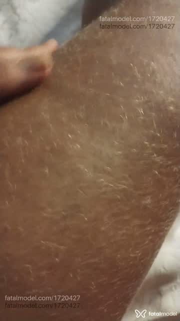 Mídia
