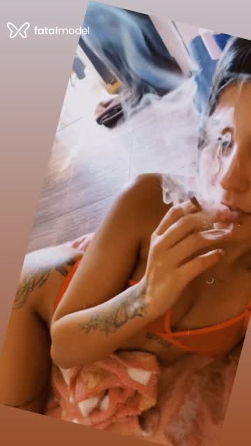 Mídia