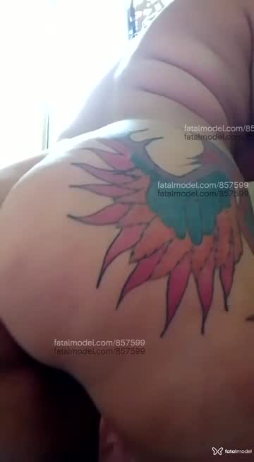 Mídia