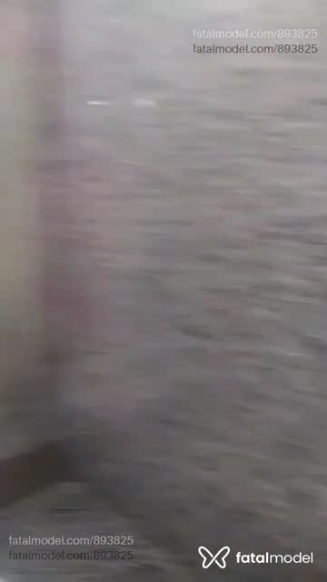 Mídia