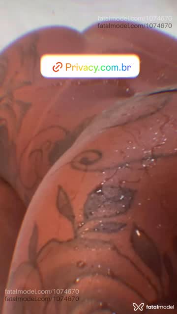 Mídia