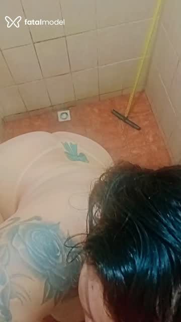 Mídia