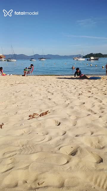 Mídia