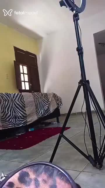 Mídia