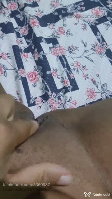 Mídia