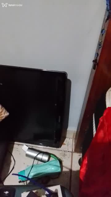 Mídia