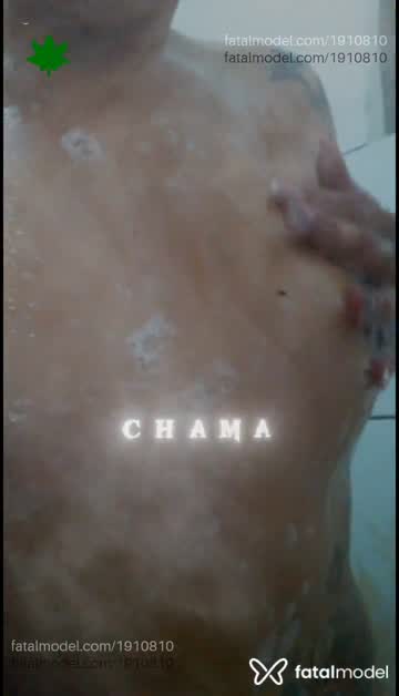 Mídia