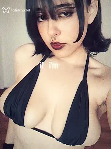 Mídia