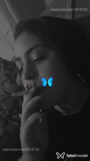 Mídia