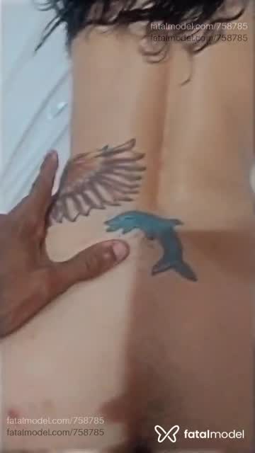 Mídia