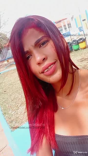 Mídia