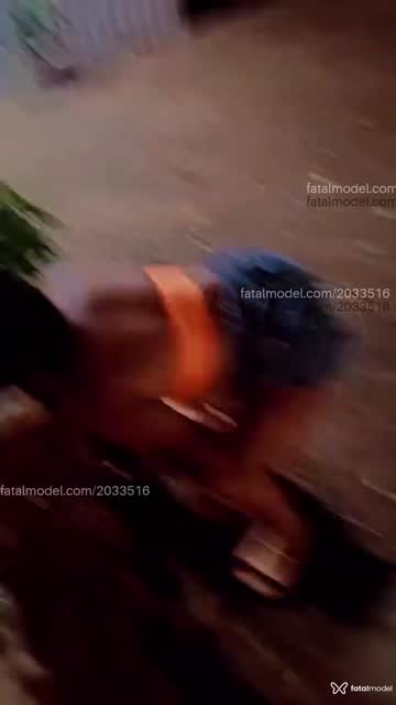 Mídia