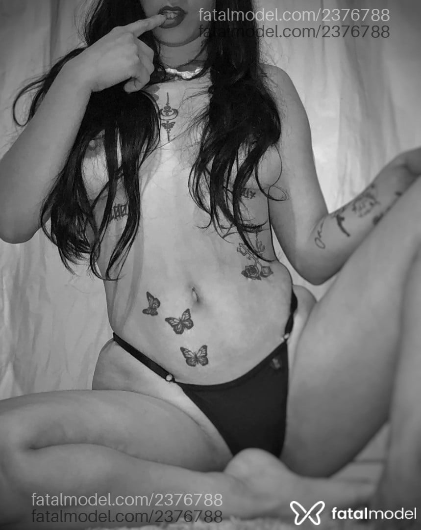 Mídia