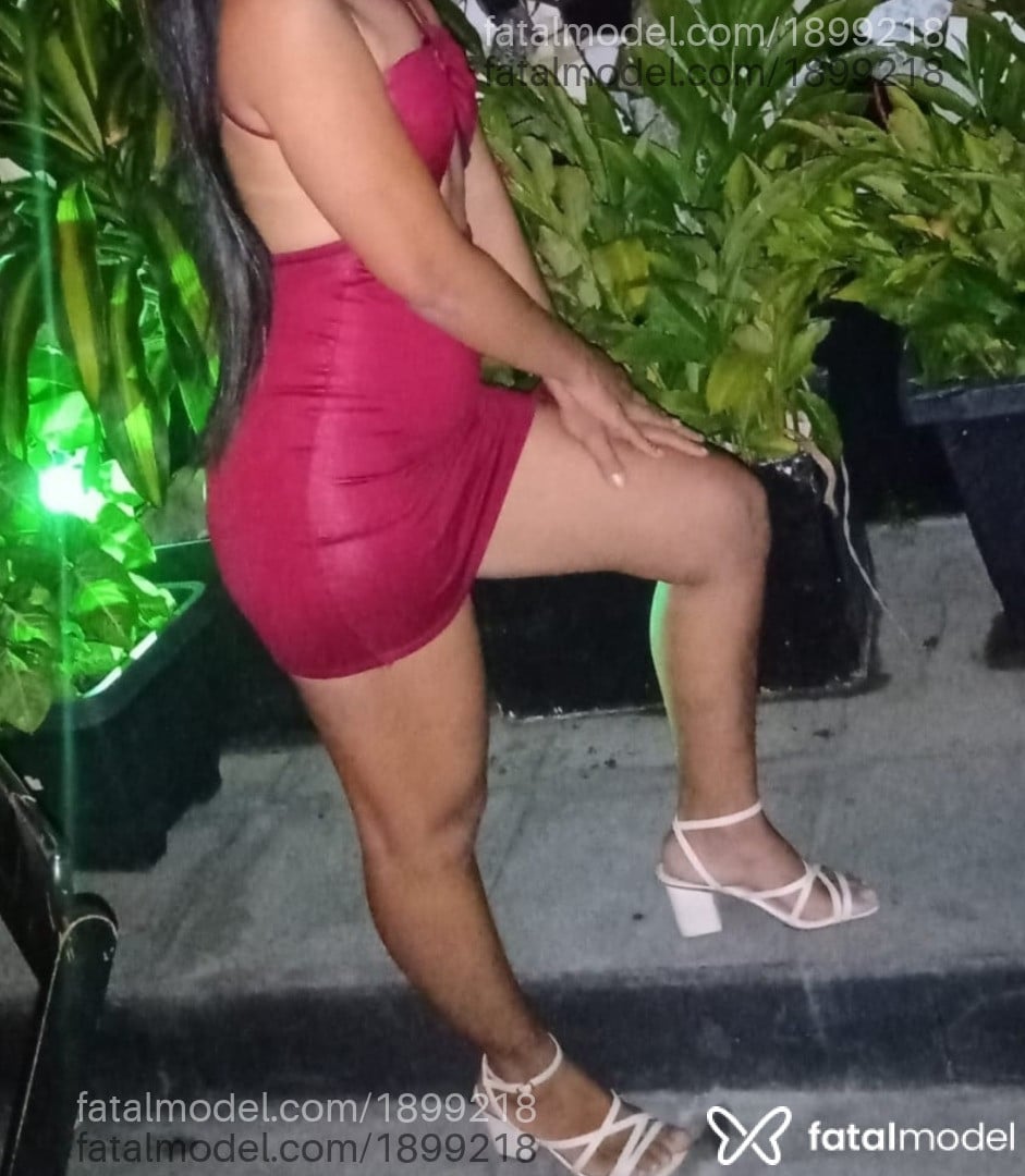 Mídia
