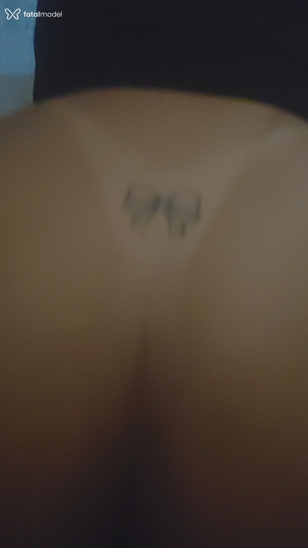 Mídia