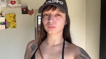 Mídia
