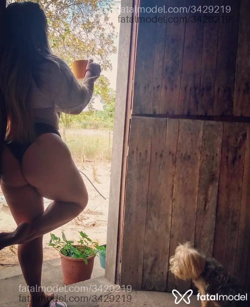 Fotos de Amanda Oliveira (8)