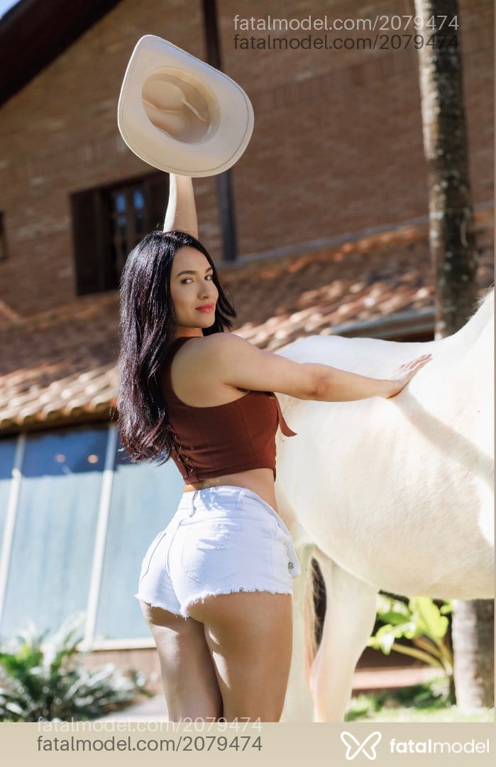 Mídia