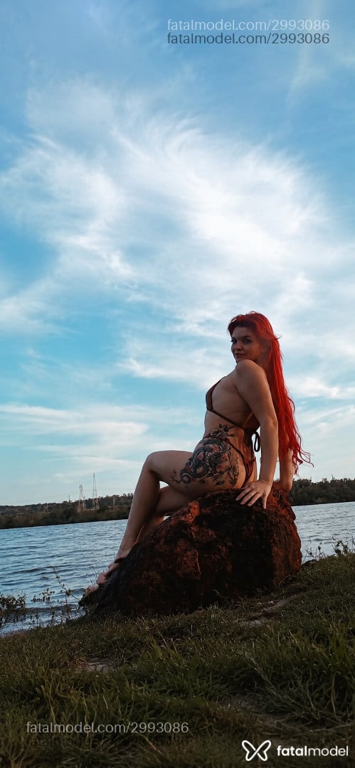 Mídia