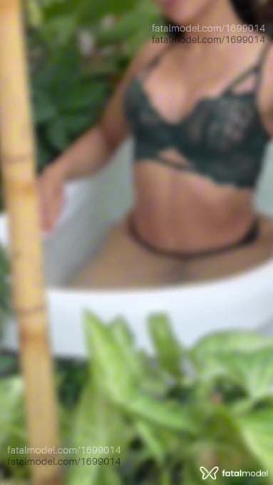 Mídia