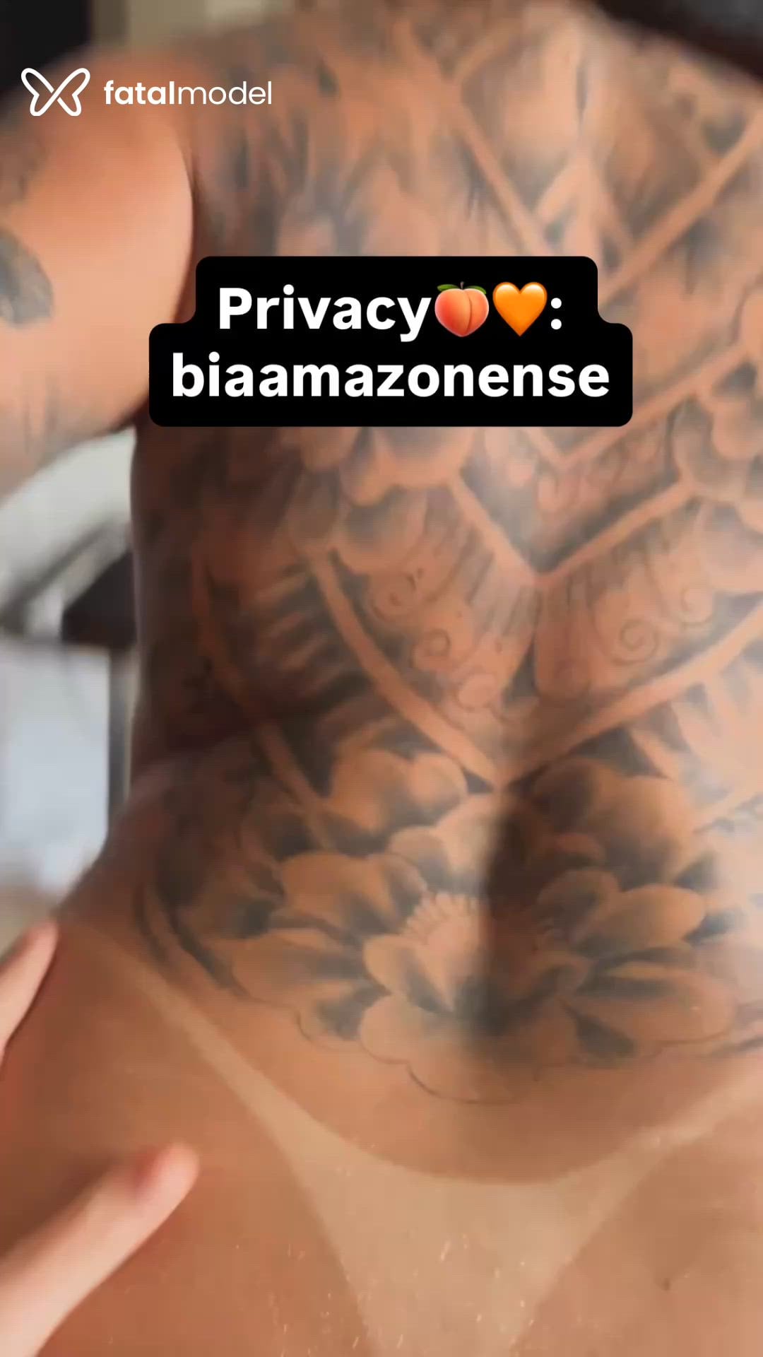 Mídia