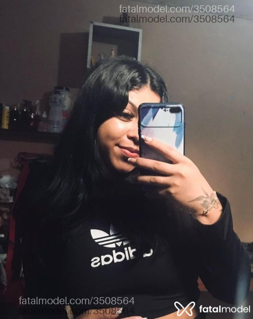 Mídia