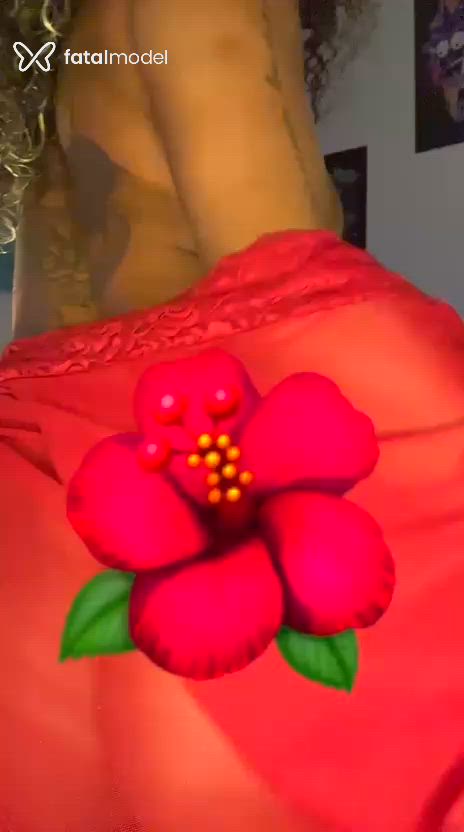 Fotos de Morena Jambo (1)