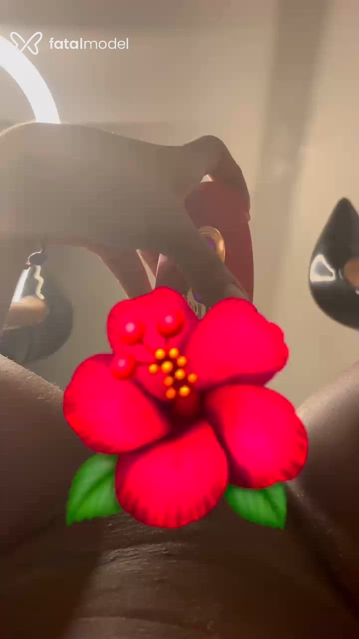 Fotos de Morena Jambo (7)