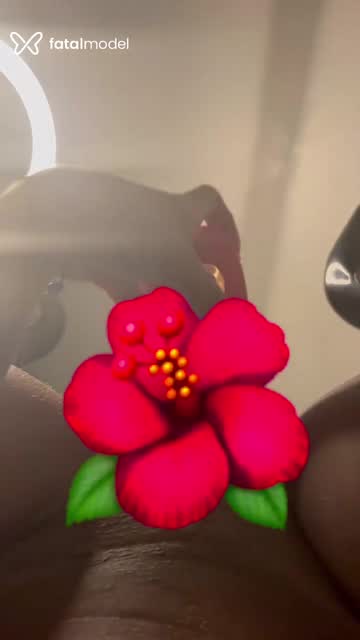 Mídia