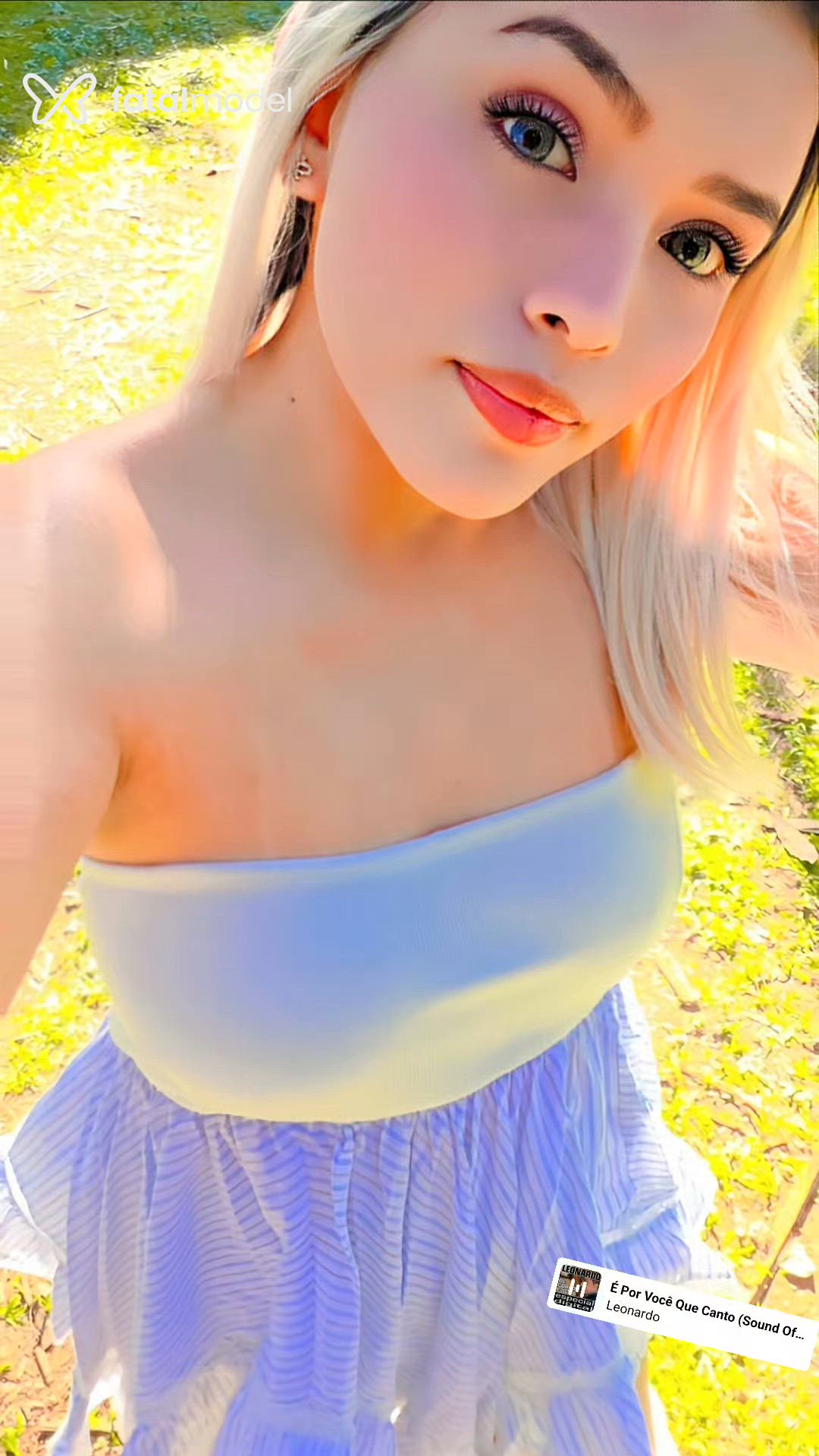 Mídia
