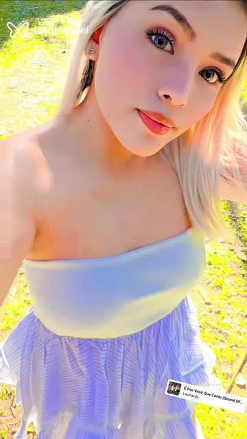 Mídia