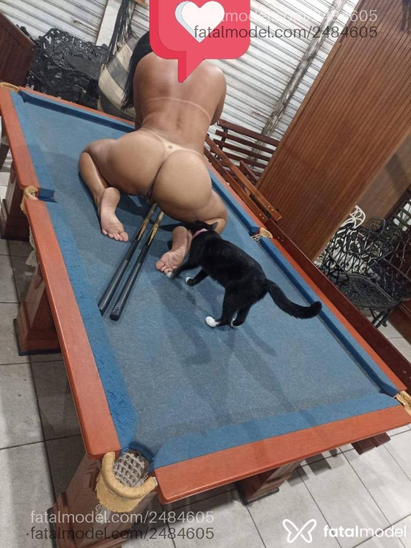 Mídia