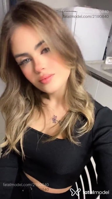 Mídia