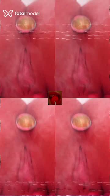Mídia