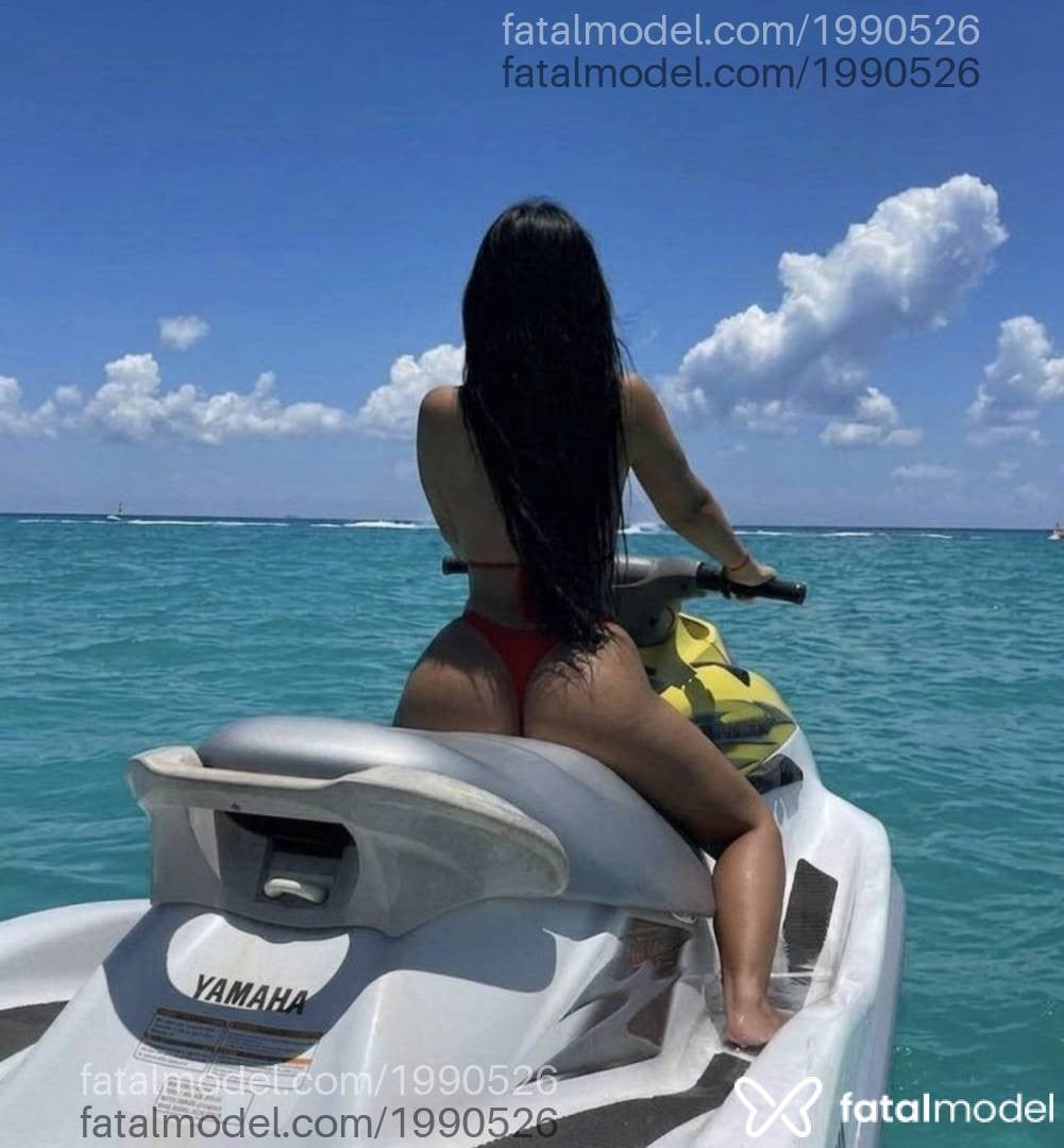 Mídia