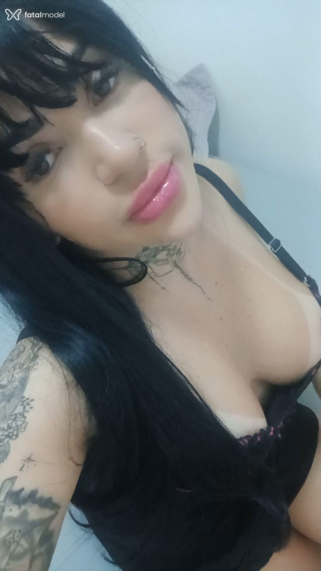 Mídia