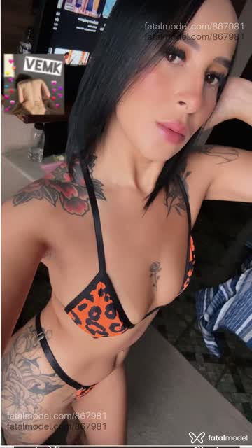 Mídia