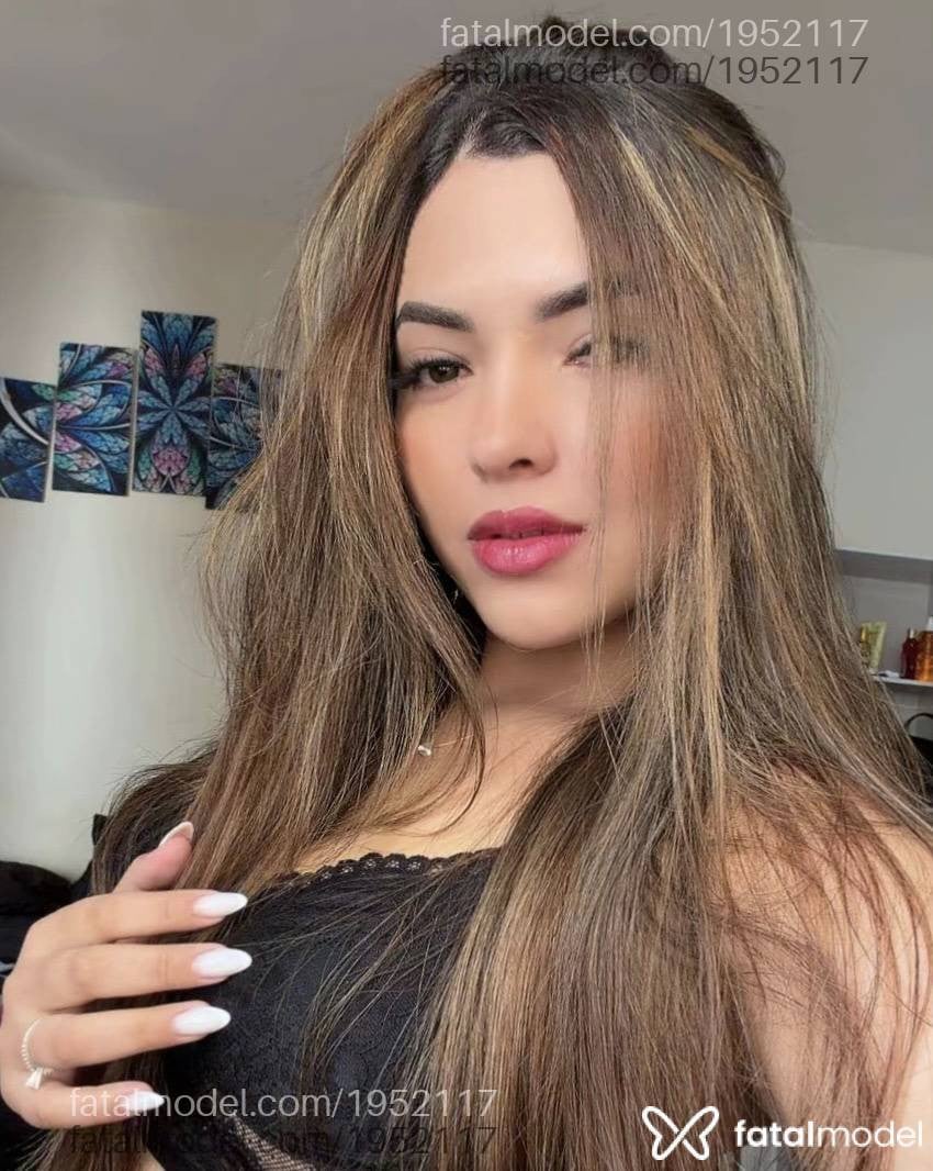 Mídia