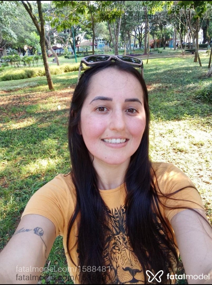 Mídia